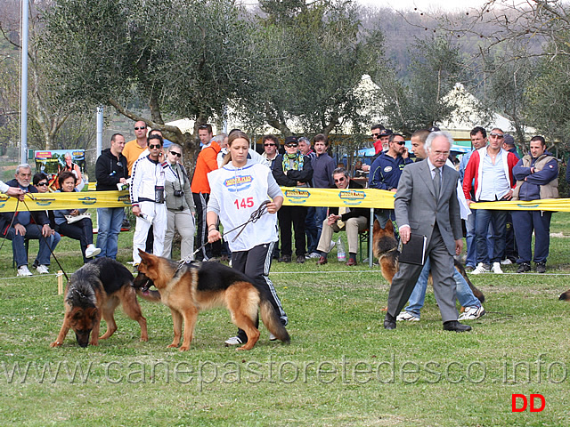 giovanissime-femmine-02.jpg - Giovanissime femmine. Il giudice Luigi Bricchi 