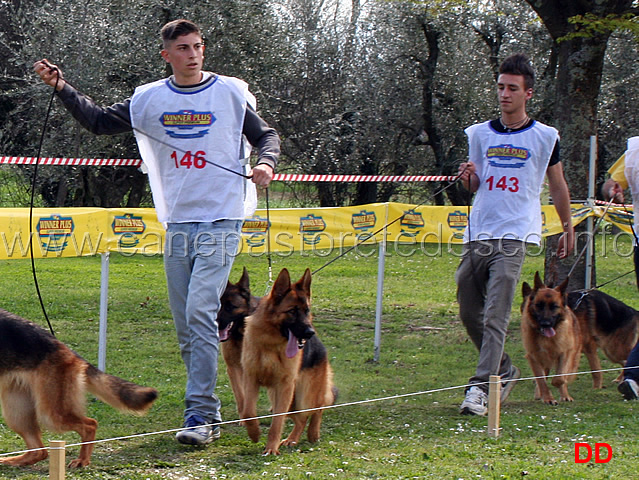 giovanissime-femmine-bolla2-del-rione-antico-astra-valentinientis-.jpg - Giovanissime femmine Bolla 2 del Rione Antico, Astra Valentinientis, Chanel di Casa Soder 