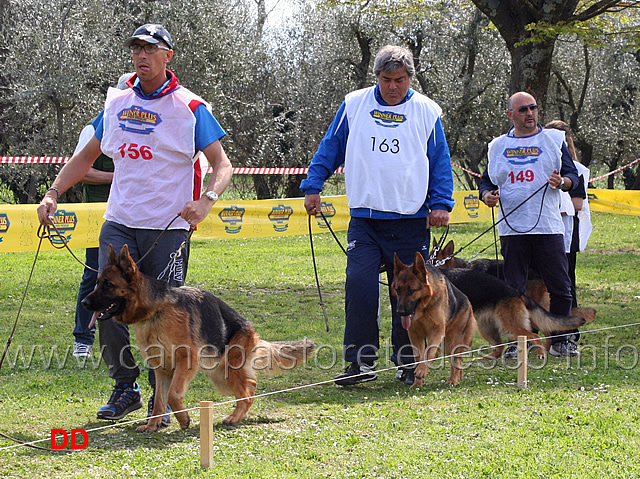 giovanissime-femmine-fendi-di-casa-montello-katerina-v-asics-chanel-madegras-cora-di-napael.jpg - Giovanissime femmine Fendi di Casa Montello, Katerina v. Asics, Chanel Madegras e Cora di Napael