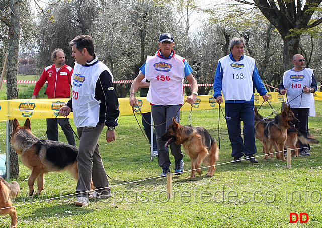 giovanissime-femmine-helga-del-re-di-denari-fendi-di-casa-montello-katerina-v-asics-chanel-madegras.jpg - Giovanissime femmine Helga del Re di Denari, Fendi di Casa Montello, Katerina Asics, Chanel Madegras