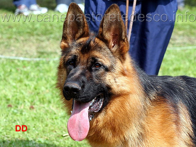 helmo-blackhof-08.jpg - Helmo Blackhof 