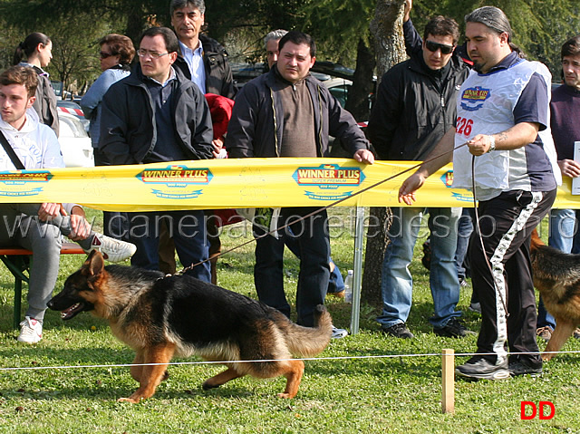 juniores-femmine-lika-della-valle-dei-rovi.jpg - Juniores femmine Lika della Valle dei Rovi 