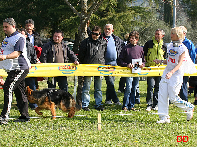 juniores-femmine-quina-della-madama-d-austria.jpg - Juniores femmine Quina della Madama d'Austria