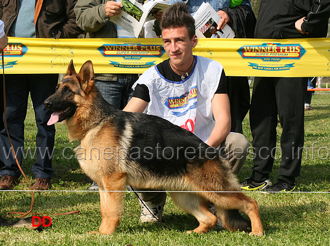 kross-valentinientis-05.jpg - Kross Valentinientis 4 MP Juniores maschi 