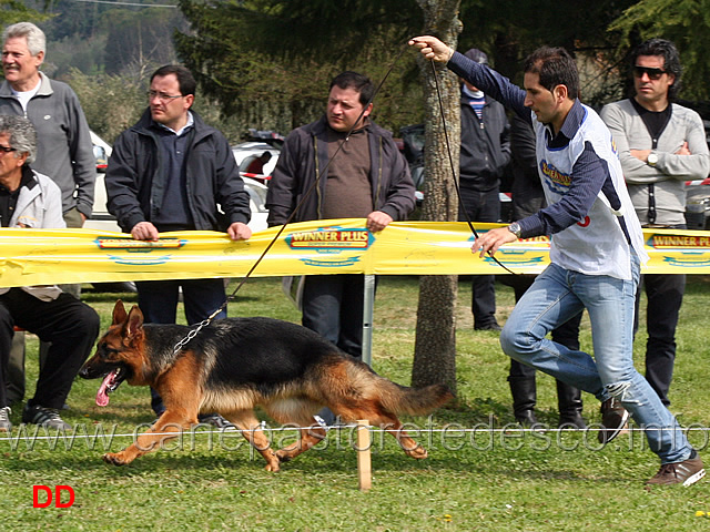 nenzy-di-casa-luca-03.jpg - Nenzy di Casa Luca