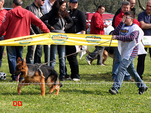 zambi-del-tessitore-02.jpg - Zambi del Tessitore