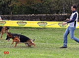 cucciolone-femmine-nenzy-casa-luca