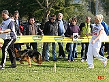 juniores-femmine-quina-della-madama-d-austria