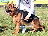 ran-casa-luca-3mp-juniores-femmine