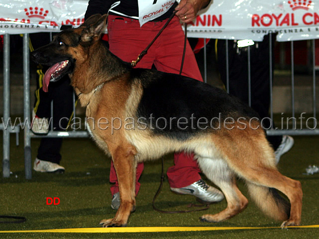 010.jpg - King del Rione Antico 16 MB