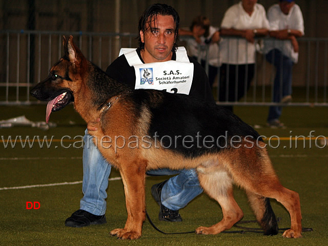 020.jpg - Ghero di Borgomarin 3 MB
