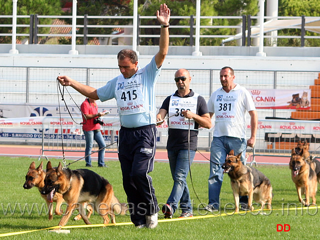 021.jpg - Simba del Ceresio (4MB), Karma della Real Favorita (3MB), Ivy dei Colli Storici (2MB)