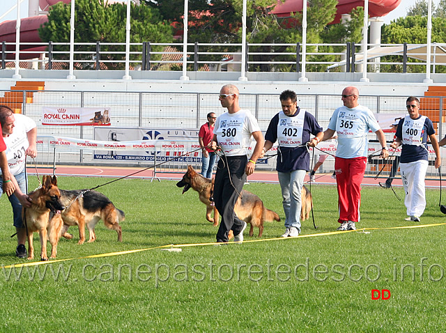 024.jpg - Nera v. Maikhus (8MB), Hina della Bella Galliana (11MB), Nika di Casa Schwarz (12MB), Dora Asics (9MB), Nala di Casa Schwarz (13MB)