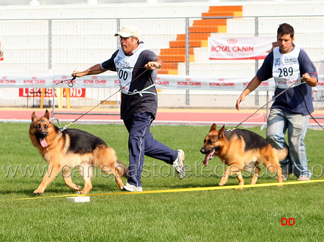 034.jpg - Zarp dei Lupi della Maddalena (24MB) e Sarko del Colle Guasco (20MB)