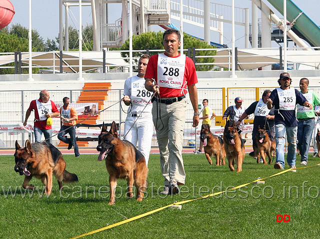 044.jpg - I cani di testa