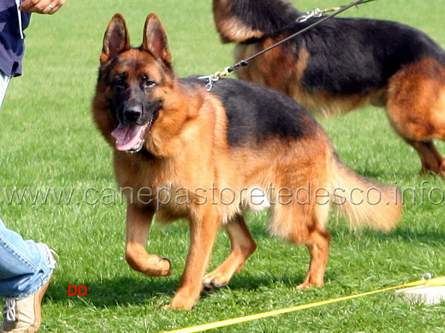 047.jpg - Rademberg (4PR)