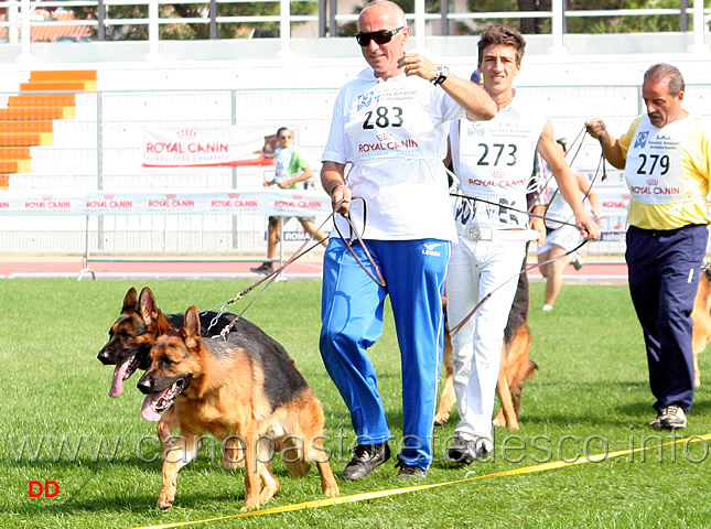 049.jpg - Pier Alpe Adria (7Pr), Lesko Valentinientis (8Pr)