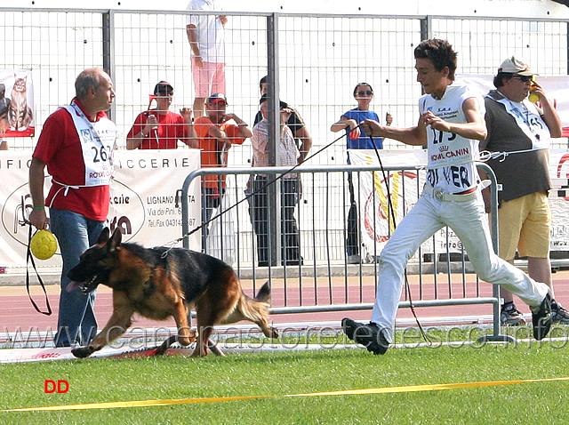 057.jpg - Lesko Valentinientis (8Pr)