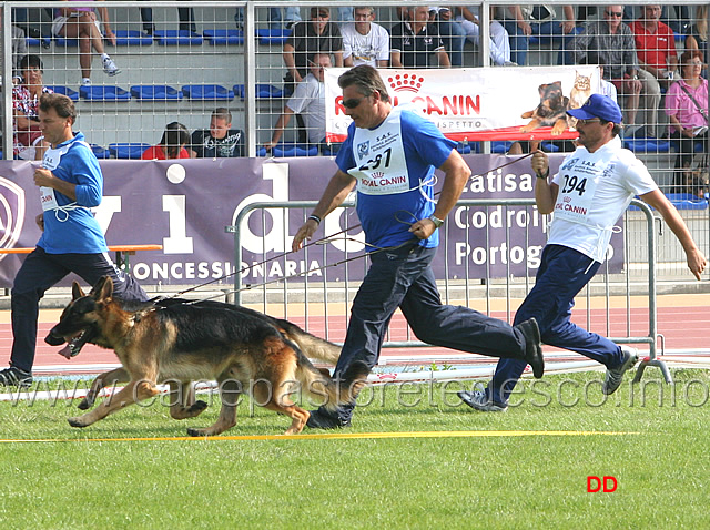 082.jpg - Ulk del Re Kokalos (26MB) e Toni di Casa Ruggieri (Rit)