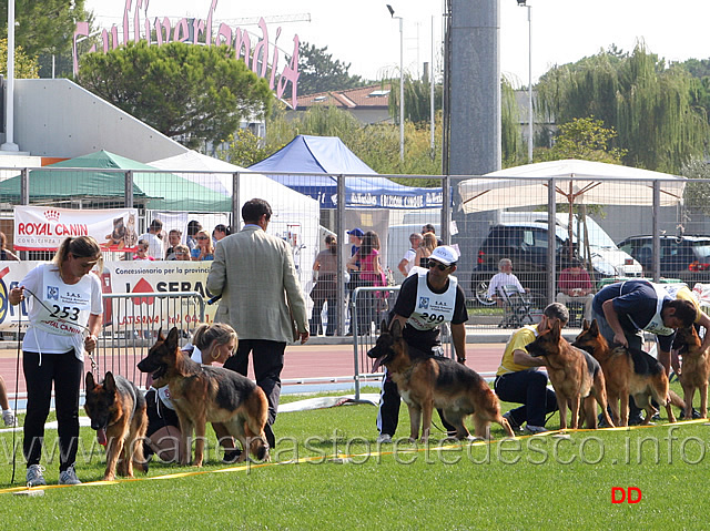 087.jpg - Il giudice Gazzetta osserva la classe