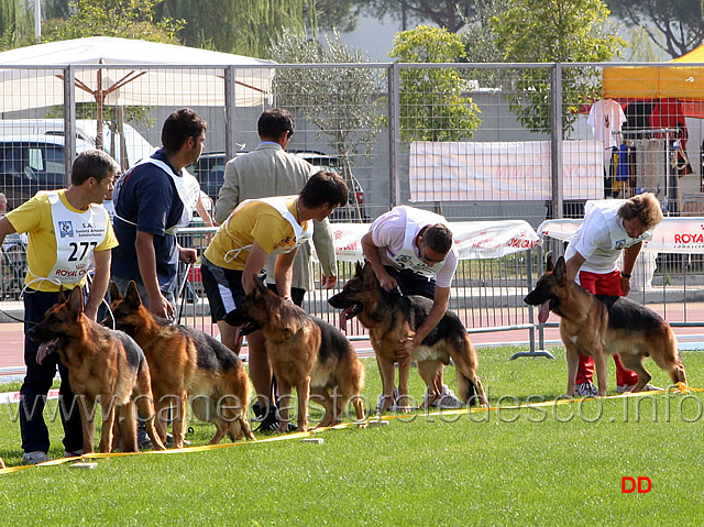 090.jpg - Il giudice Gazzetta osserva la classe