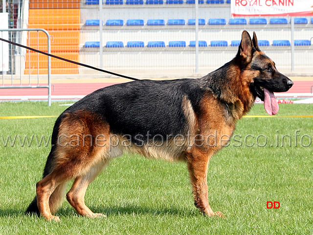 152.jpg - 8 Promessa Lesko Valentinientis
