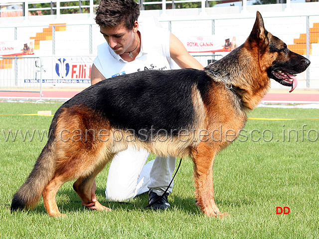 153.jpg - 8 Promessa Lesko Valentinientis