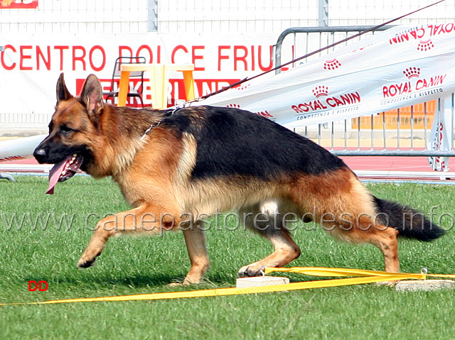 158.jpg - 9 Promessa Cos della Grande Valle