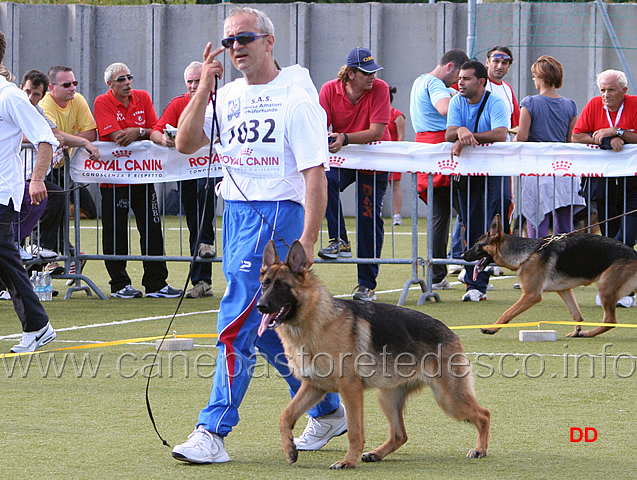 016.jpg - Birke di Camporeale 51 MP