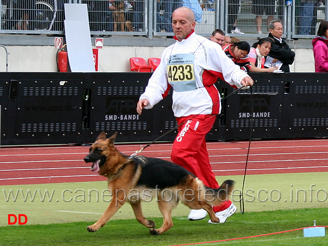 frau-di-zenevredo-2MB-giovani-femmine.jpg - Frau di Zenevredo 2 MB Giovani femmine (Foto BSZS 2010)