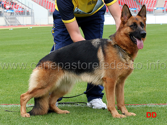 frau-di-zenevredo.jpg - Frau di Zenevredo 2 MB Giovani femmine (Foto BSZS 2010)