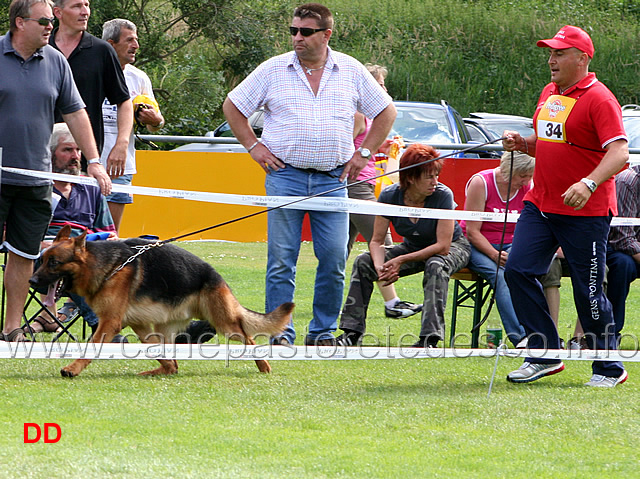 nero-della-gens-pontina.jpg - Nero della Gens Pontina 14 Ecc Lavoro maschi (foto LG 14, luglio 2010)