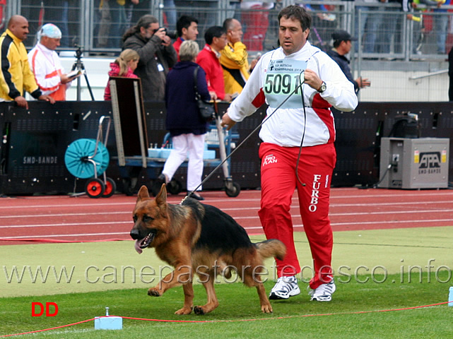 sony-dei-colli-storici.jpg - Sony dei Colli Storici 2 MB Giovanissimi maschi (foto BSZS 2010)