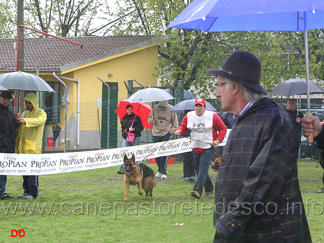 013.jpg - Giovanissime femmine. Il giudice Luigi Bricchi osserva il movimento. Sullo sfondo Xana di Zenevredo