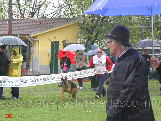 013.jpg - Giovanissime femmine. Il giudice Luigi Bricchi osserva il movimento. Sullo sfondo Xana di Zenevredo