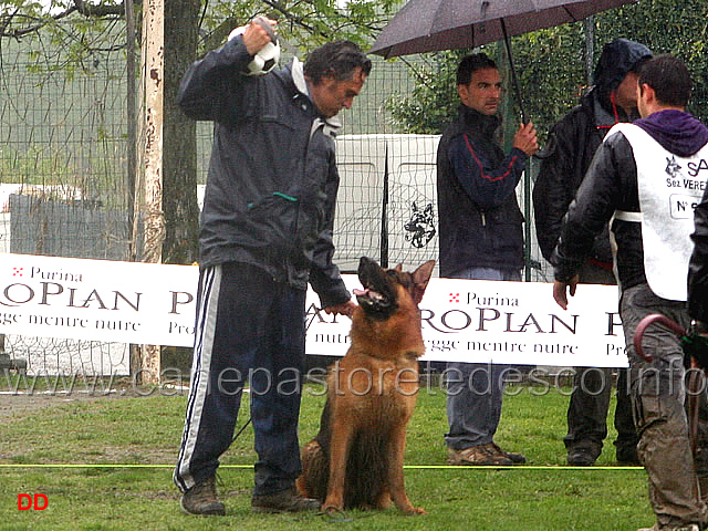 067.jpg - Adulti maschi Ferro Hohenzeile pronto per il fuss