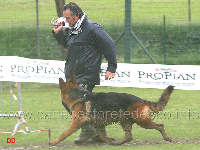 069.jpg - Adulti maschi Nino Barbieri con Ferro Hohenzeile