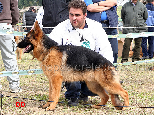 016.jpg - Classe Juniores maschi  2 Ultron Blackhof