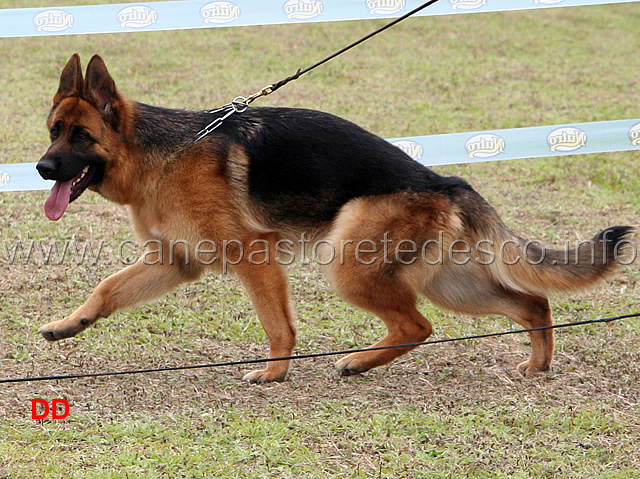 021.jpg - Classe Cucciolone femmine 3 Mery
