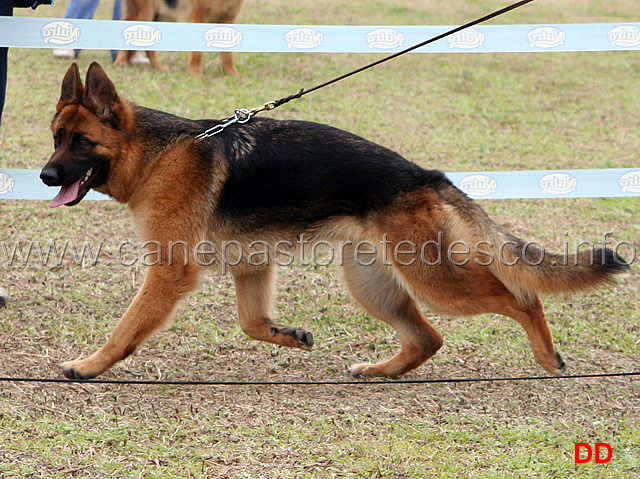 022.jpg - Classe Cucciolone femmine 3 Mery