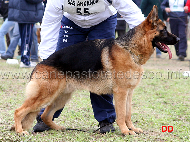 108.jpg - Giovanissimi maschi 2 Apoll dei Patrizi
