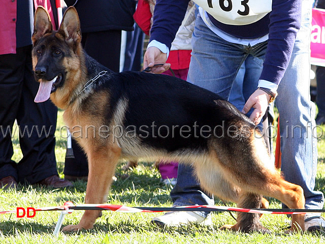 035_.jpg - Classe Juniores femmine 6 Bonny