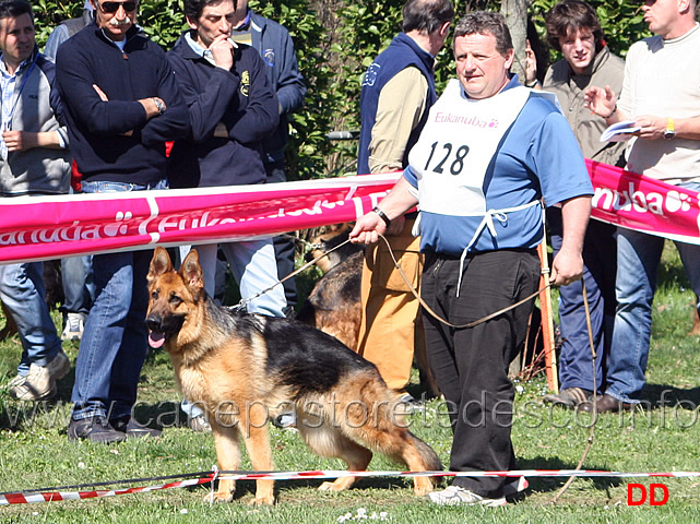 041.jpg - Classe Cucciolone femmine 3 Malaja di Ca' San Marco