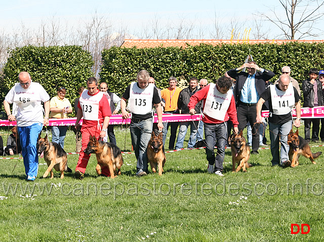 075.jpg - Correttezze: Zoe, Miska, Milena, Vena, Afrji