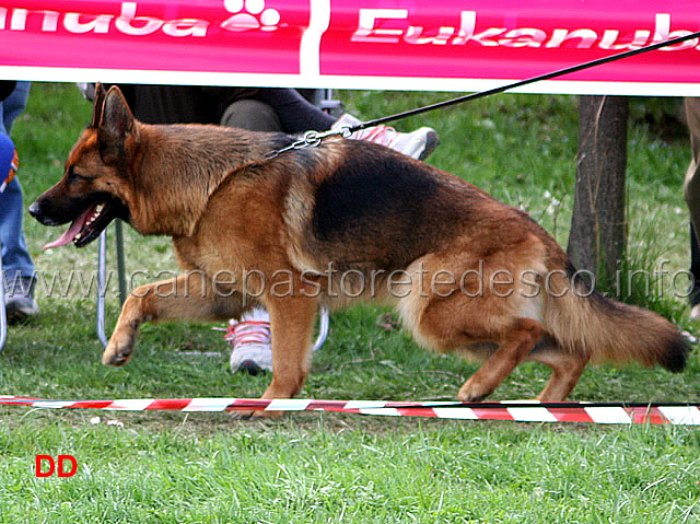 020.jpg - Classe Lavoro femmine 1 Blanka della Gens Pontina