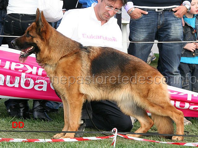 033.jpg - Classe Lavoro femmine 1 Blanka della Gens Pontina