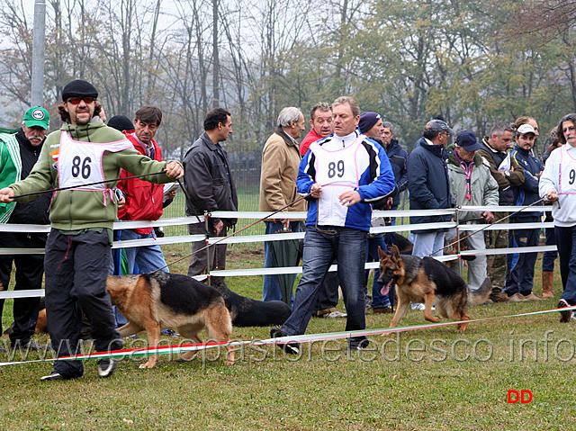 002.jpg - Cucciolone femmine Jola di Zenevredo, Ola del Gruppo