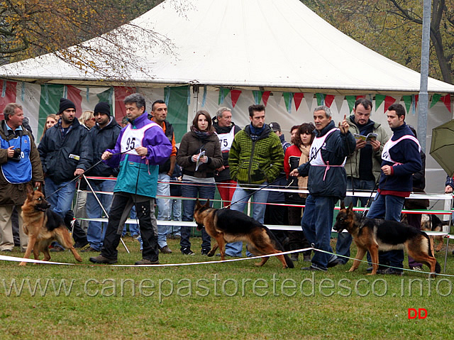 007.jpg - Cucciolone femmine
