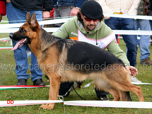 016.jpg - Cucciolone femmine 1 Athena di Casa Vizzato