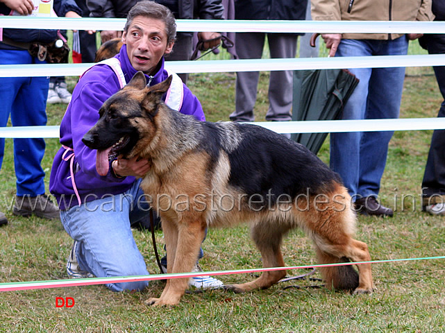 023.jpg - Cucciolone femmine 8 Naika